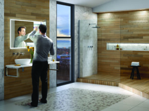 Vanquish Mirror Cabinet