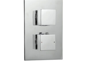 Encore Dual 2 Outlet Valve
