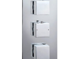 Encore Triple Control 2 Outlet Valve