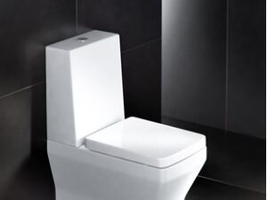Britton Close Coupled WC