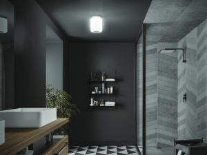 Rhythm Bluetooth Ceiling Light and Speaker