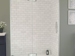 Arysto 10 HInge Shower Door